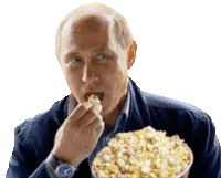 Putin Vladimir Putin Sticker GIF