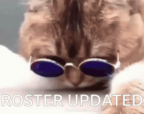 Putting On Glasses Cat Roster Updated GIF