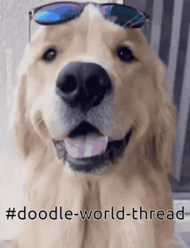 Putting On Glasses Doodle Dog Sunglasses GIF
