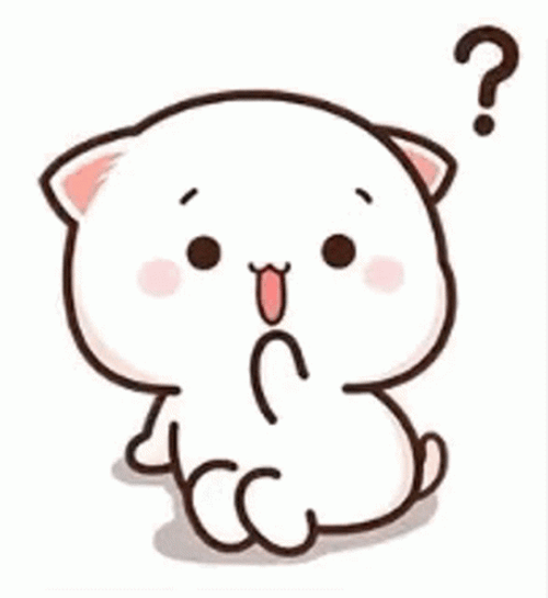 Puzzled Kitty Wat GIF