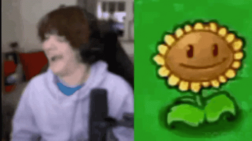 Pvz Dancing Sunflower GIF