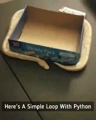 Python Simple Loop On Box GIF