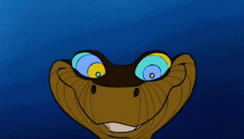 Python Talking With Bright Shining Eyes GIF