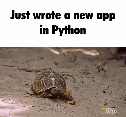 Python Wrote New App Slow GIF