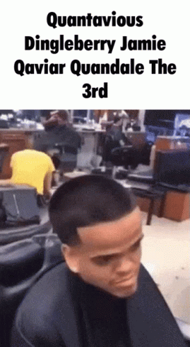 Quandale Dingle 273 X 498 Gif GIF