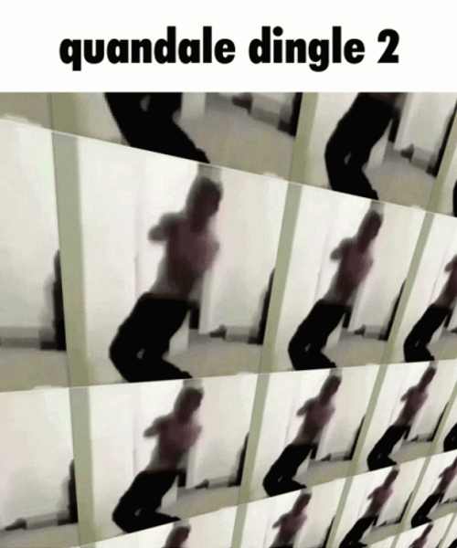 Quandale Dingle GIF