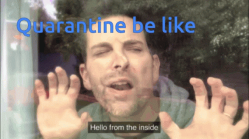 Quarantine Be Like Hello From The Other Side GIF