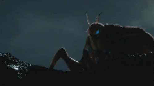 Queen Giant Mothra GIF