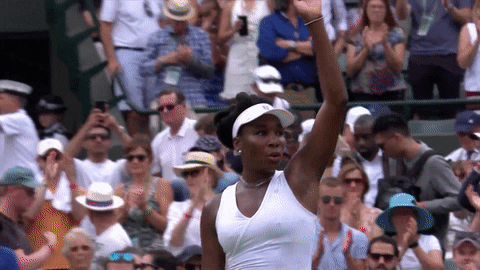 Queen Wave Venus Williams GIF