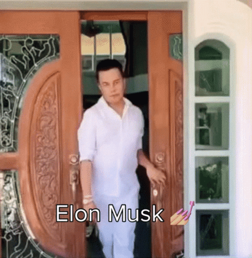 Queer Elon Musk Lookalike Parody  GIF