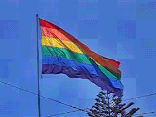 Queer Lgbt Flag GIF
