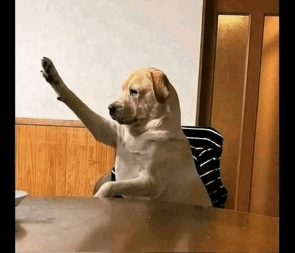 Question Questioning Meme GIF