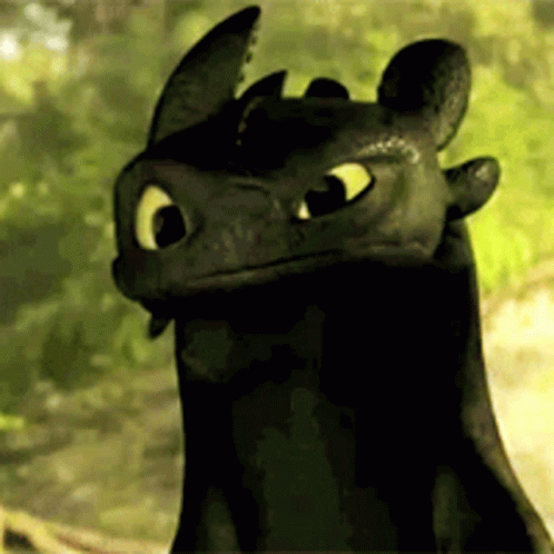Questioning Look Of Toothless Meme GIF