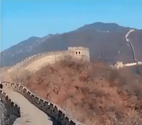 Quinta Brunson Milly Rock Dancing On Great Wall GIF