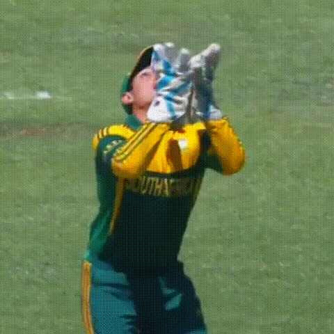 Quinton De Kock And Steyn GIF