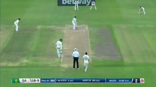 Quinton De Kock Mark Wood GIF