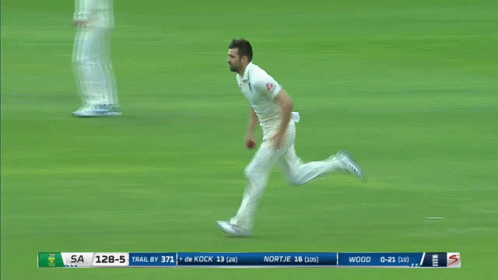 Quinton De Kock Mark Wood GIF