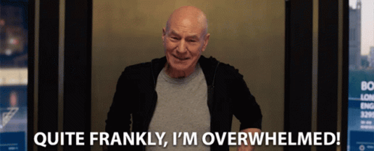 Quite Frankly I'm Overwhelmed GIF