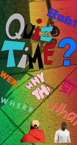 Quiz Time Sticker Questions Seagulls GIF