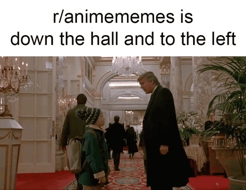 R/Animememes Donald Trump Down the Hall