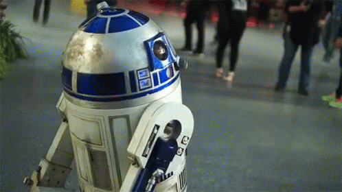 R2D2 in Crowd