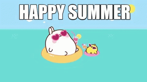 Rabbit and Chicken on Raft with Happy Summer
