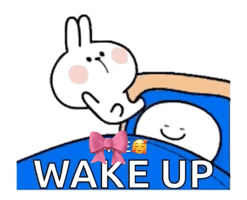 Rabbit and Moon Wake Up