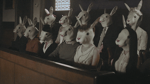 Rabbit Audience Dislike Gesture GIF