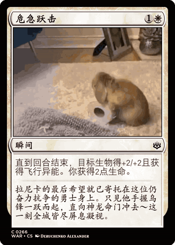 Rabbit Card With Chinese Writing