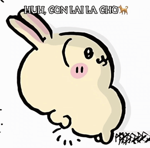 Rabbit Co Khi Lai Can No GIF
