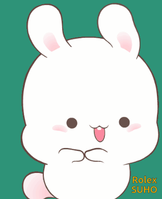 Rabbit Drawing with Rolex Suho