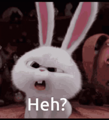Rabbit from Secret Life of Pets Making Funny Face