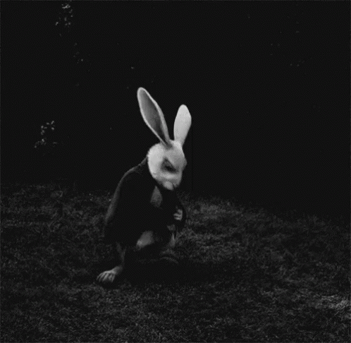 Rabbit Hole In Alice Wonderland GIF