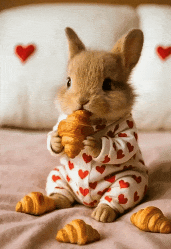 Rabbit in Pajamas Eating Croissant