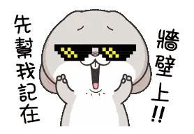 Rabbit in Sunglasses with Chinese Writing