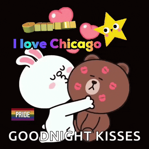 Rabbit Kissing Bear I Love Chicago