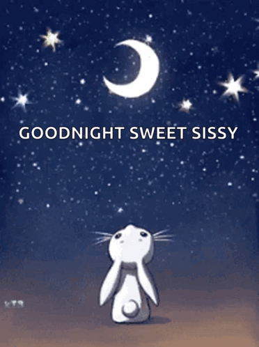 Rabbit Looking Up At Moon Goodnight Sweet Sissy GIF