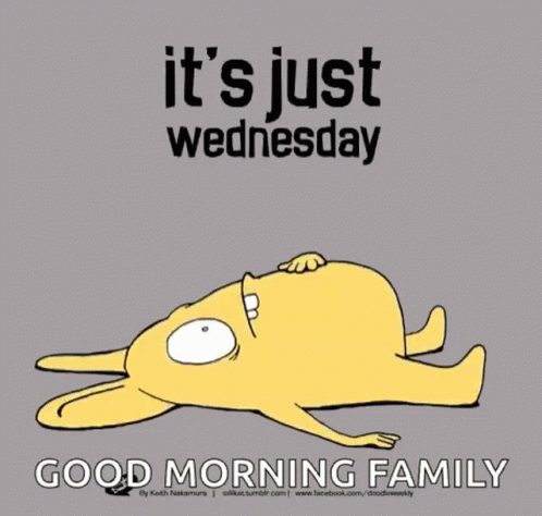 Rabbit Lying Down It's Wednesday Good Morning Family
