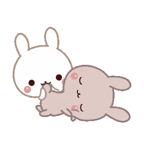 Rabbit Lying on Back with Heart