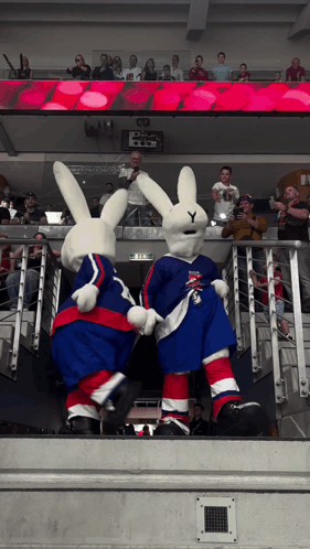 Rabbit Mascots On Hockey Game Staircase GIF