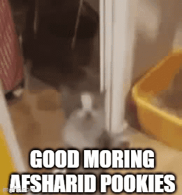 Rabbit Next To Yellow Bucket Saying Good Morning GIF