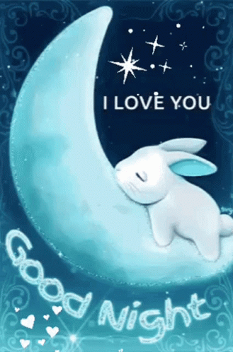 Rabbit On Moon Nighty Night GIF