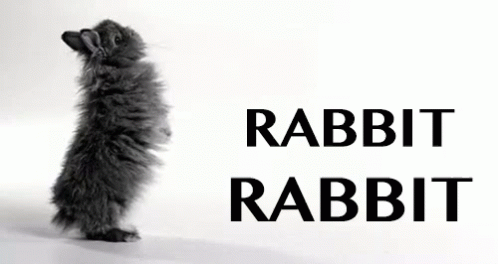 Rabbit Rabbit Text GIF