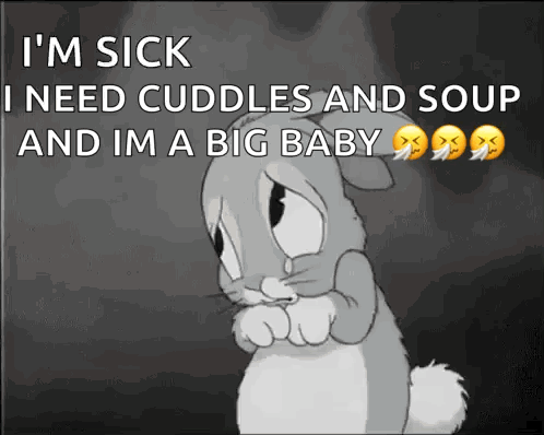 Rabbit Saying Im Sick Need Cuddles Soup