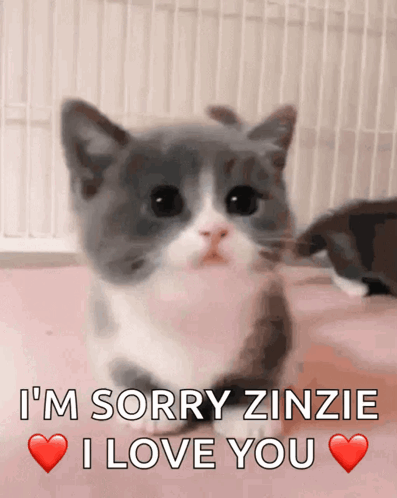 Rabbit Saying Sorry for Acting Up
