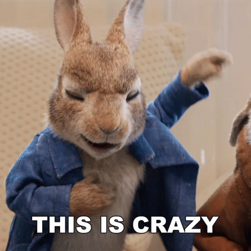Rabbit Saying This Is Crazy