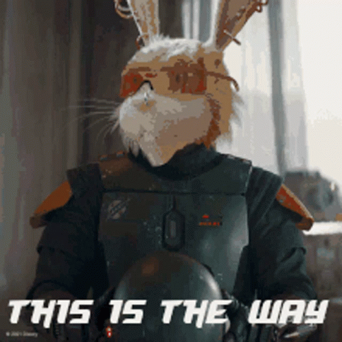 Rabbit Saying This Is The Way GIF