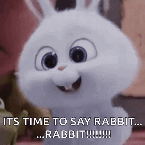 Rabbit Saying Time To Say Rabbit GIF