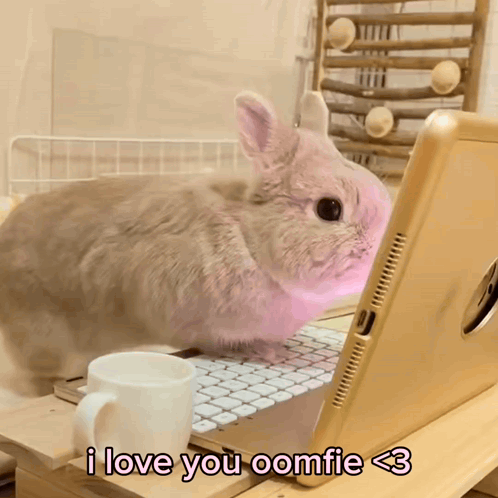 Rabbit Sitting In Front Of Laptop I Love You Oomfie < 3 GIF