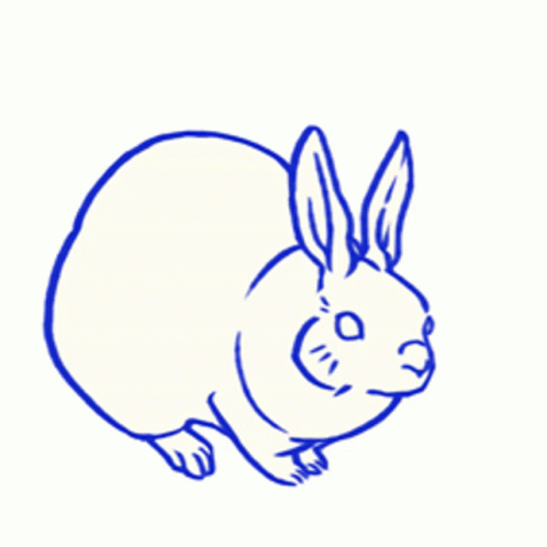 Rabbit Sketch Tuesday GIF